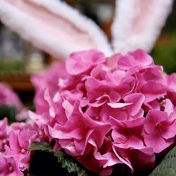 Blumen Gardens