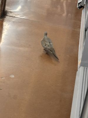 Walmart Supercenter by null