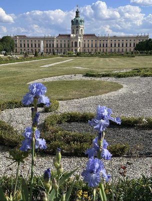 Charlottenburg Palace by null