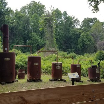 Dismal Swamp State Park - Learning out the history of moonshine in the region - Hiking Near Me - South Mills, North Carolina