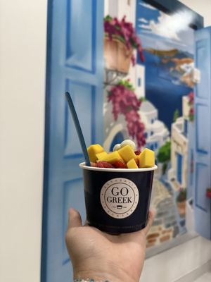 Go Greek Yogurt by null