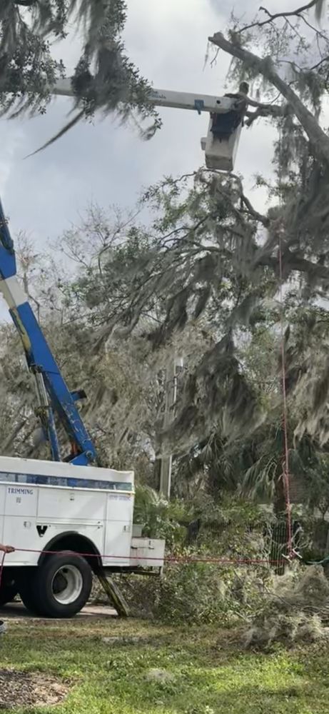 Shoreline Contracting Services - tree service in Gulfport, MS
