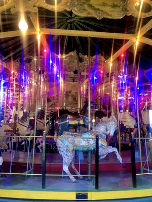 Balboa Park Carousel by null