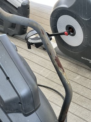 American Cruise Lines by null