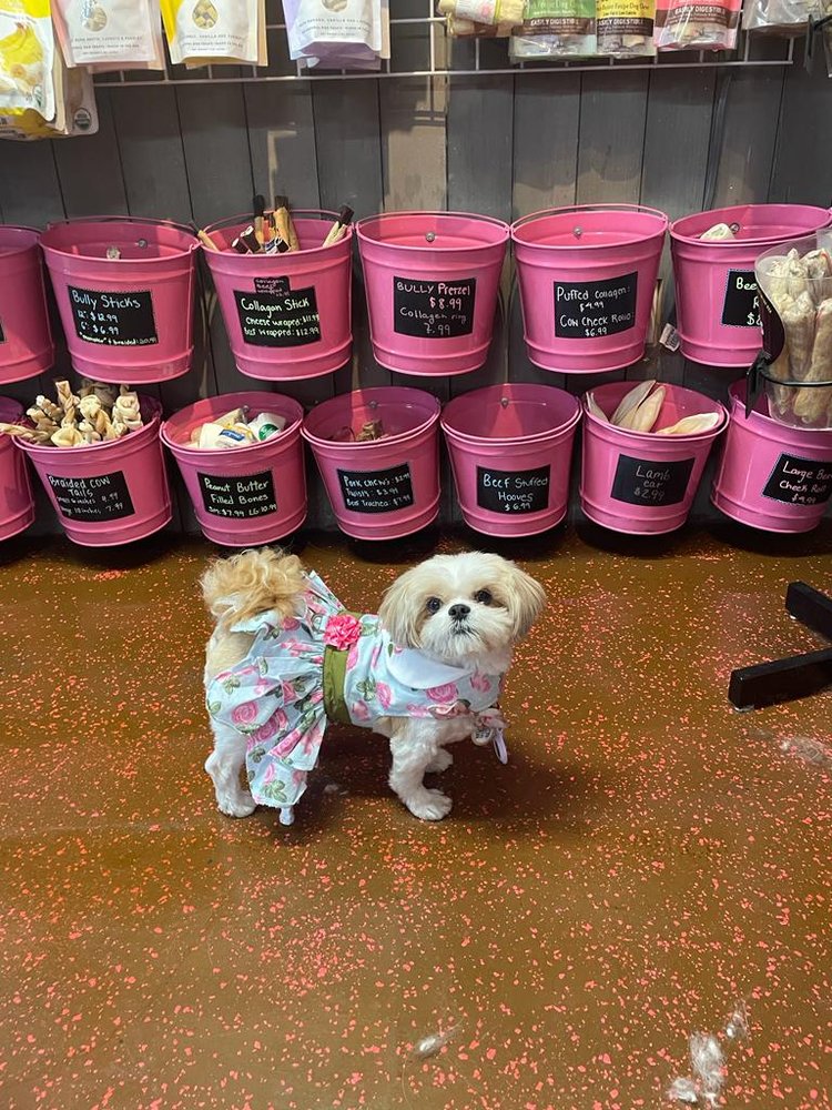 WOOF GANG BAKERY & GROOMING LONGWOOD 51 Photos 2401 W State Rd 434