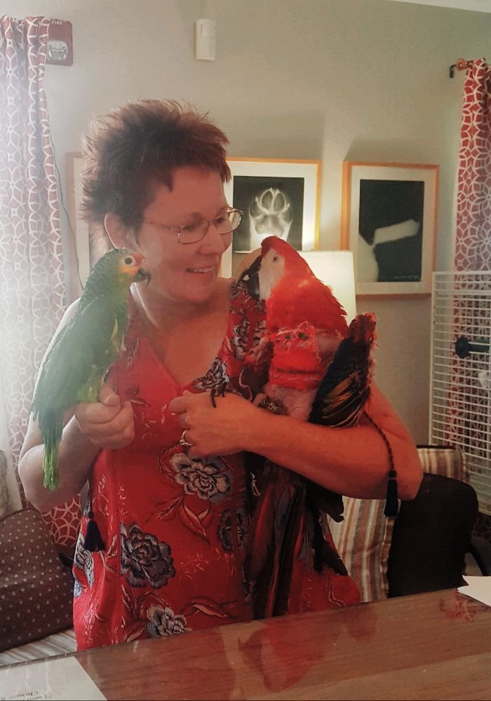 RENAISSANCE PET RESORT & SPA 195 Photos & 109 Reviews 1346 E Ramsey