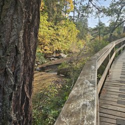 Bowen Park Complex