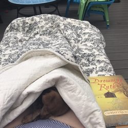 Second View Thrift Store - Found this quilt and the book as well. (The dog was already mine )