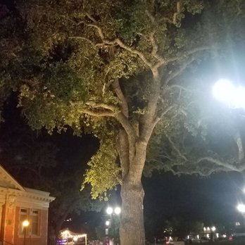 Downtown City Park - Parks Near Me - Paso Robles, California Downtown City Park - Parks Near Me - Paso Robles, California