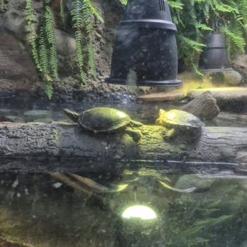 Oregon Zoo - Zoos Near Me - Portland, Oregon
