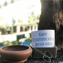 California Bonsai Studio - Gift certificates available