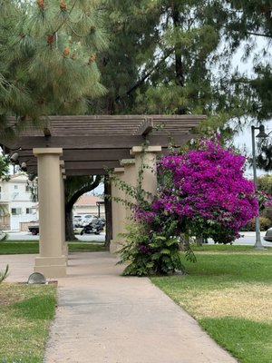 Abraham Lincoln Park by null