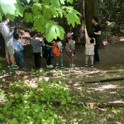American Academy of Fine Arts - Out door class
