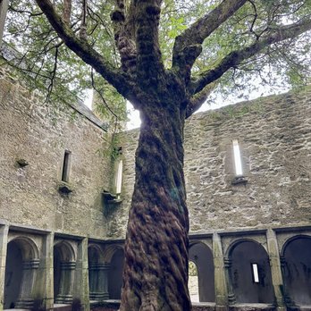 Killarney National Park - Muckross abbey 9/2025 - Parks Near Me