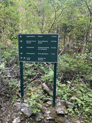 Flowerpot Island by null