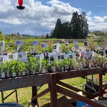 Chehelam Flats Farm Market - Herbs - Pick Your Own Farms Near Me - Newberg, Oregon
