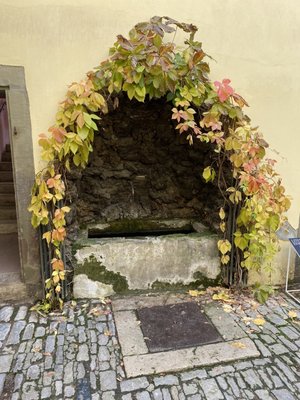Goethe's House by null