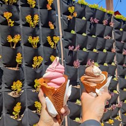 med strawberry/vanilla & choco cookie graham on waffle cones med strawberry/vanilla & choco cookie graham on waffle cones