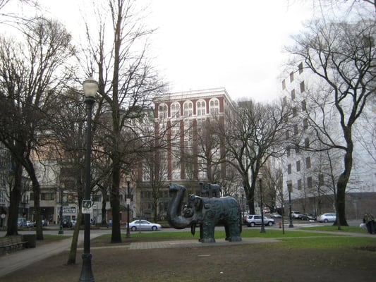 North Park Blocks by null