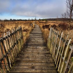 Peatlands Park - Photo from Peatlands Park Facebook page by Northern Ireland Photography, Barry McQueen.