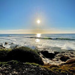 Another Side Of San Diego Tours - Windansea Beach