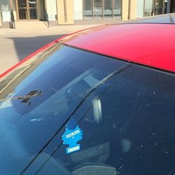 Avis - The windshield before the rental