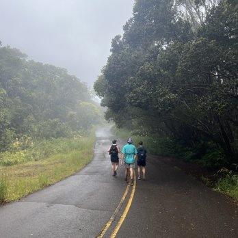 Waimea Canyon State Park - The road to one of the hikes - Parks Near Me - Waimea, Hawaii Waimea Canyon State Park - The road to one of the hikes - Parks Near Me - Waimea, Hawaii