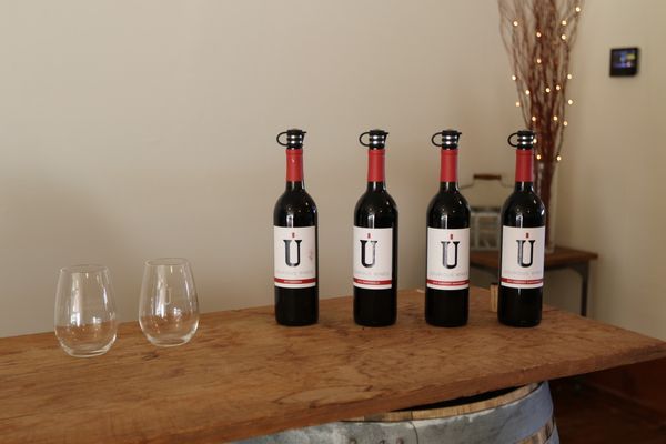 Usurious Wines by null
