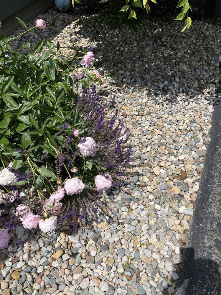 Maplewood Tree Service - tree service in Columbus, OH