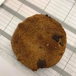 Cockroach found on the bottom of my "fresh baked" chocolate chip cookie.