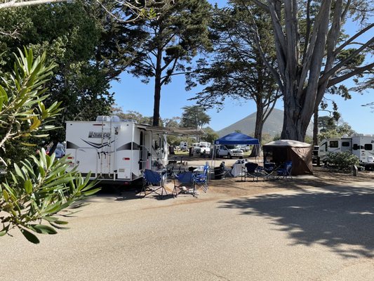 Morro Bay State Park by null