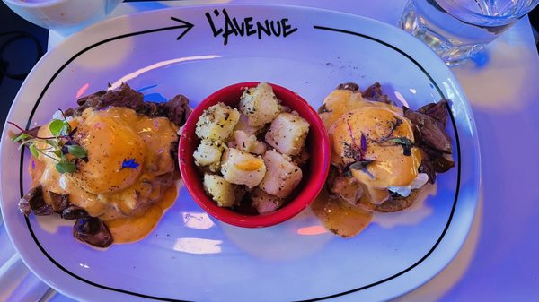 L'Avenue Notre Dame by null