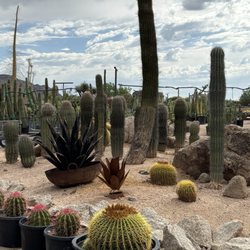 Desert Foothills Gardens Nursery - Gardens