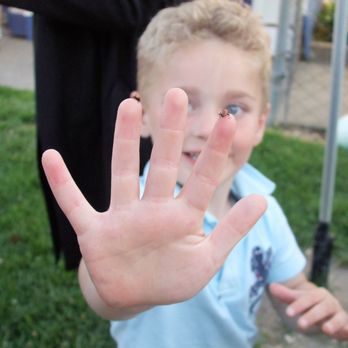 Cadence Academy Preschool - Preschools Near Me - Carmichael, California
