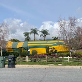 Pacific Termite - Pest Control Near Me - Los Angeles, California