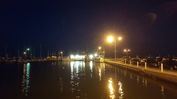 L-Head Seafood & Bait House