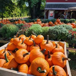 Orr's Farm Market at the Junction - Orr's Farm Market at the Junction Fall 2024