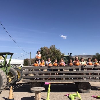 Swore Farms - Preschool students visit the corn maze and get pumpkins on their wagon ride - Farms Near Me - Pocatello, Idaho Swore Farms - Preschool students visit the corn maze and get pumpkins on their wagon ride - Farms Near Me - Pocatello, Idaho