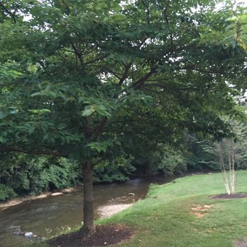 Luray-Hawksbill Greenway - Parks Near Me - Luray, Virginia Luray-Hawksbill Greenway - Parks Near Me - Luray, Virginia