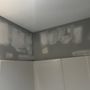 SJC Innovation Painting