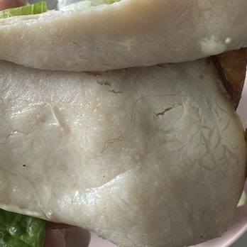 Sesame - Hair in turkey club bagel - Coffee & Tea Near Me - Tampa, Florida Sesame - Hair in turkey club bagel - Coffee & Tea Near Me - Tampa, Florida