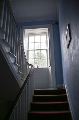 Spoon and the Stars Hostel by null