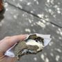 Honeycomb Coffee
