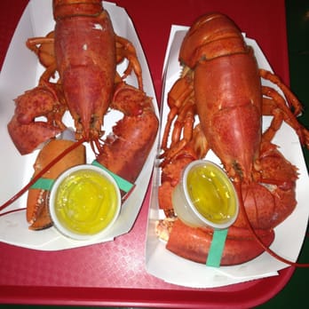 Thurston's Lobster Pound - Lobsters! - Seafood Near Me - Bernard, Maine Thurston's Lobster Pound - Lobsters! - Seafood Near Me - Bernard, Maine