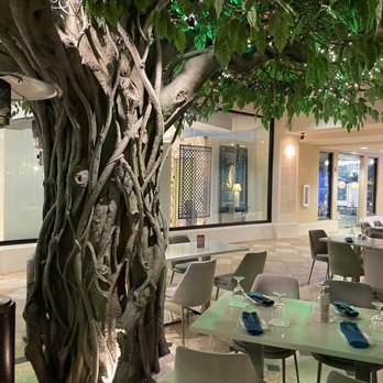 Tabla - Winter Park - "Patio" - Chinese Near Me - Winter Park, Florida Tabla - Winter Park - "Patio" - Chinese Near Me - Winter Park, Florida