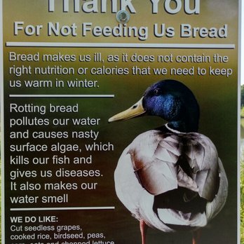 Arrowhead Park - Please don't feed the ducks - Parks Near Me - Murray, Utah