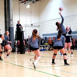 BVA Volleyball Club