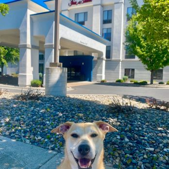 Hampton Inn & Suites Walla Walla - Hotels Near Me - Walla Walla, Washington