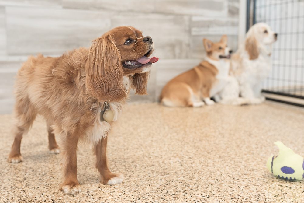 CEDAR RUN Updated September 2024 20 Photos & 12 Reviews 2705