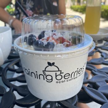 Raining Berries - Açaí bowl - Acai Bowls Near Me - St. Petersburg, Florida Raining Berries - Açaí bowl - Acai Bowls Near Me - St. Petersburg, Florida